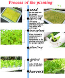 Hydroponic Site Grow Kit 72 Ladder-type Culture Garden System Tool Seed Starting