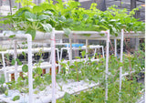 Hydroponic Site Grow Kit 72 Site Culture Garden System Plant Seed Starting