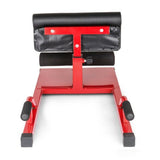 Sit Up Sissy Squat Push Up Ab Workout 3-in-1 Home Gym Machine