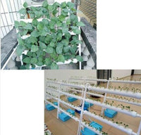 Hydroponic Site Grow Kit 72 Site Culture Garden System Plant Seed Starting